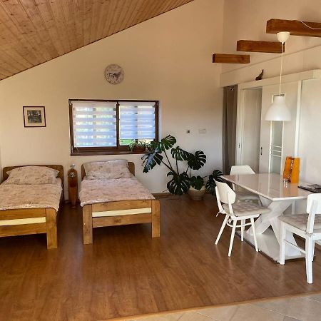 Apartman V Podhuri Jizerskych Hor Zelezny Brod Kültér fotó