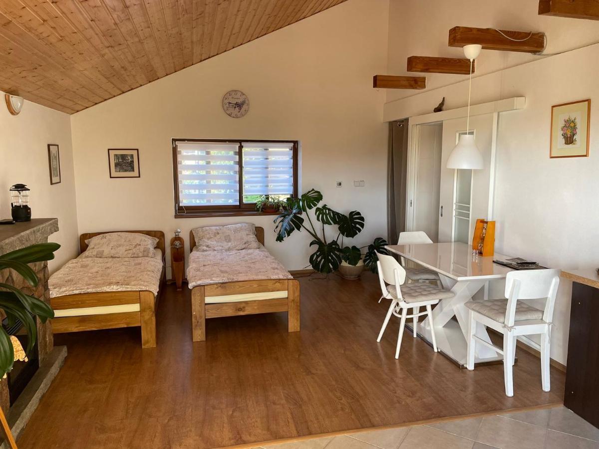 Apartman V Podhuri Jizerskych Hor Zelezny Brod Kültér fotó