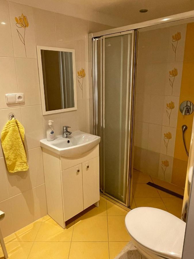 Apartman V Podhuri Jizerskych Hor Zelezny Brod Kültér fotó